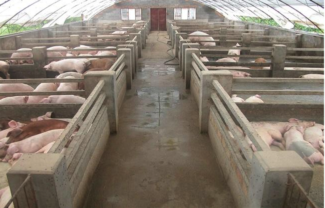 1633999607764914.png 1009 (4).png