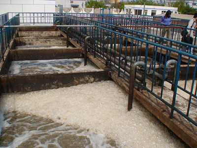 1637215402608765.jpg 污水現場圖.jpg